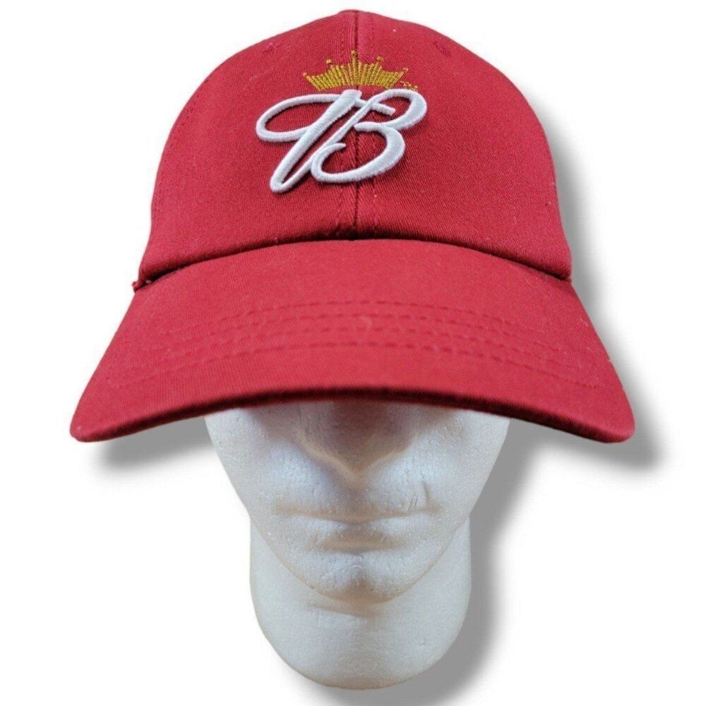 Vintage Dale Earnhardt Jr 8 Hat Chase Authentics Drivers Line A-Flex NASCAR Y2K